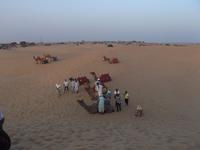 abendlicher Kamelritt in der Wüste Thar