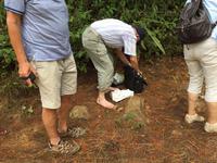 ... Schuhverlust :-(