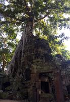 Ta Phrom