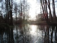 Kahnfahrt auf der Spree