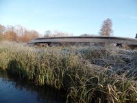 Kahnfahrt auf der Spree