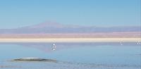 Rundreise Südamerika – Chile und Argentinien Santiago de Chile – Atacama-Wüste – Valparaiso – Punta Arenas – Torres del Paine – Perito Moreno-Gletscher – Buenos Aires (133)
