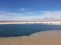 Rundreise Südamerika – Chile und Argentinien Santiago de Chile – Atacama-Wüste – Valparaiso – Punta Arenas – Torres del Paine – Perito Moreno-Gletscher – Buenos Aires (299)