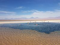 Rundreise Südamerika – Chile und Argentinien Santiago de Chile – Atacama-Wüste – Valparaiso – Punta Arenas – Torres del Paine – Perito Moreno-Gletscher – Buenos Aires (320)