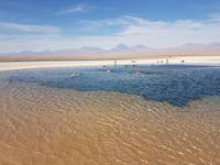 Rundreise Südamerika – Chile und Argentinien Santiago de Chile – Atacama-Wüste – Valparaiso – Punta Arenas – Torres del Paine – Perito Moreno-Gletscher – Buenos Aires (321)