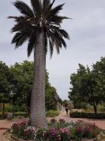 Rundreise Südamerika – Chile und Argentinien Santiago de Chile – Atacama-Wüste – Valparaiso – Punta Arenas – Torres del Paine – Perito Moreno-Gletscher – Buenos Aires (463)