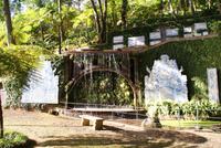 Im Tropischen Garten Monte Palace