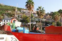 Camara de Lobos
