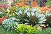 Besuch im Orchideengarten