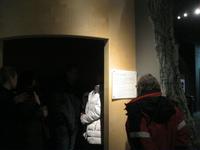 IMG_7084  Reisegruppe im Baum