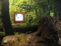 IMG_7086  Mürizeum Ausstellung Landschaft