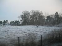 IMG_7118  Frost am Silvestermorgen