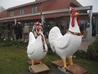 IMG_7137  Bauernmarkt Klink