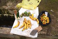 Levada Kiosk-alles frisch vom Bauern