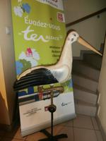 Obernai Markenzeichen des Elsass der Storch