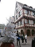 Colmar