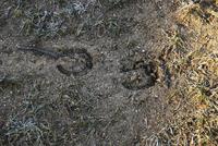 Spuren aus vergangenen Tagen?