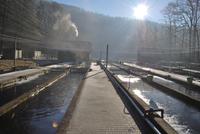 Besuch der Forellen-Farm