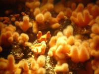 Ozeaneum 8