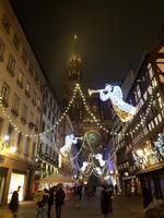 Strassburg  mit Münster