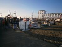 11 der Hafen von Sassnitz