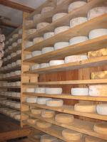 ... Käse aus eigener Herstellung