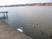 Ammersee