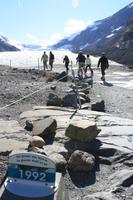 Athabasca Glacier