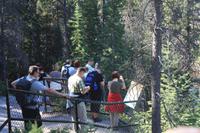Maligne Canyon