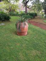 Blandys Garten