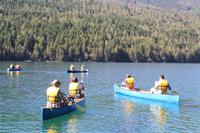 das schaut schon recht gut aus ...