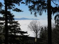 Blick über den Bodensee