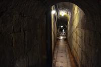 Besichtigung der Alten Saline