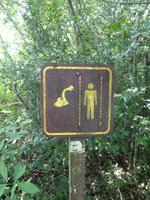 Nationalpark Iguazú (27)