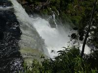 Nationalpark Iguazú (45)
