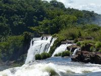 Nationalpark Iguazú (54)