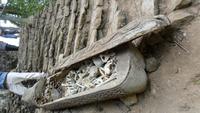 085 Sulawesi - 