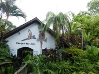 Parque das aves in Foz do Iguaçu  (1)