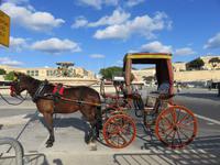 Kutsche in Valletta