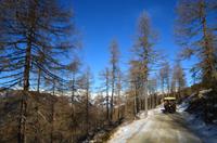 046 Kutschfahrt zur Pritzhütte, Bergpanorama