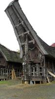 121 Sulawesi - geschwungene Hausdächer und verzierte Fassade