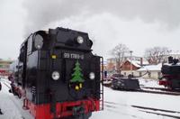 Mit dem Lößnitzdackel - der Schmalspurbahn im Lößnitzgrund - fuhren wir in Richtung Moritzburg