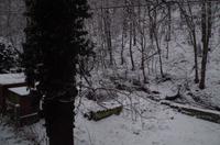 Eine romantische Bahnfahrt durch die weiße Winterlandschaft