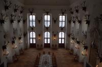 Die Ausstellung zum Märchen 