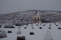 Eine Führung und Verkostung im berühmten Weingut Wackerbarth