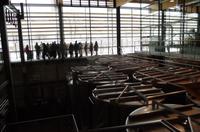 Eine Führung und Verkostung im berühmten Weingut Wackerbarth