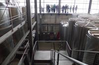 Eine Führung und Verkostung im berühmten Weingut Wackerbarth