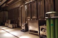 Eine Führung und Verkostung im berühmten Weingut Wackerbarth