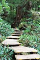 Wanderweg im Pacific Rim Nationalpark