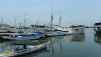 145 Sulawesi, Makassar Hafen 3